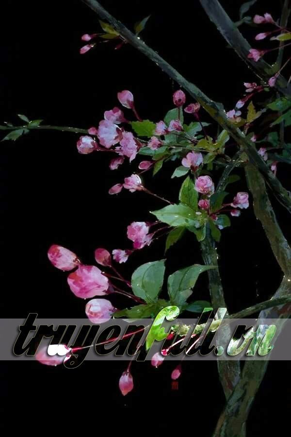 6cf5108ea0540f05d605a37c8fe028d7fe162802