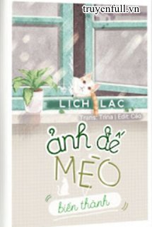 7ebc5c447a83f143f02febe324bc7caf2e29fc6e